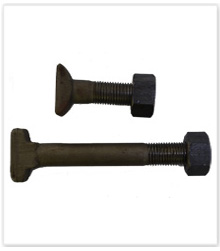 Clamp bolt and inserted bolt